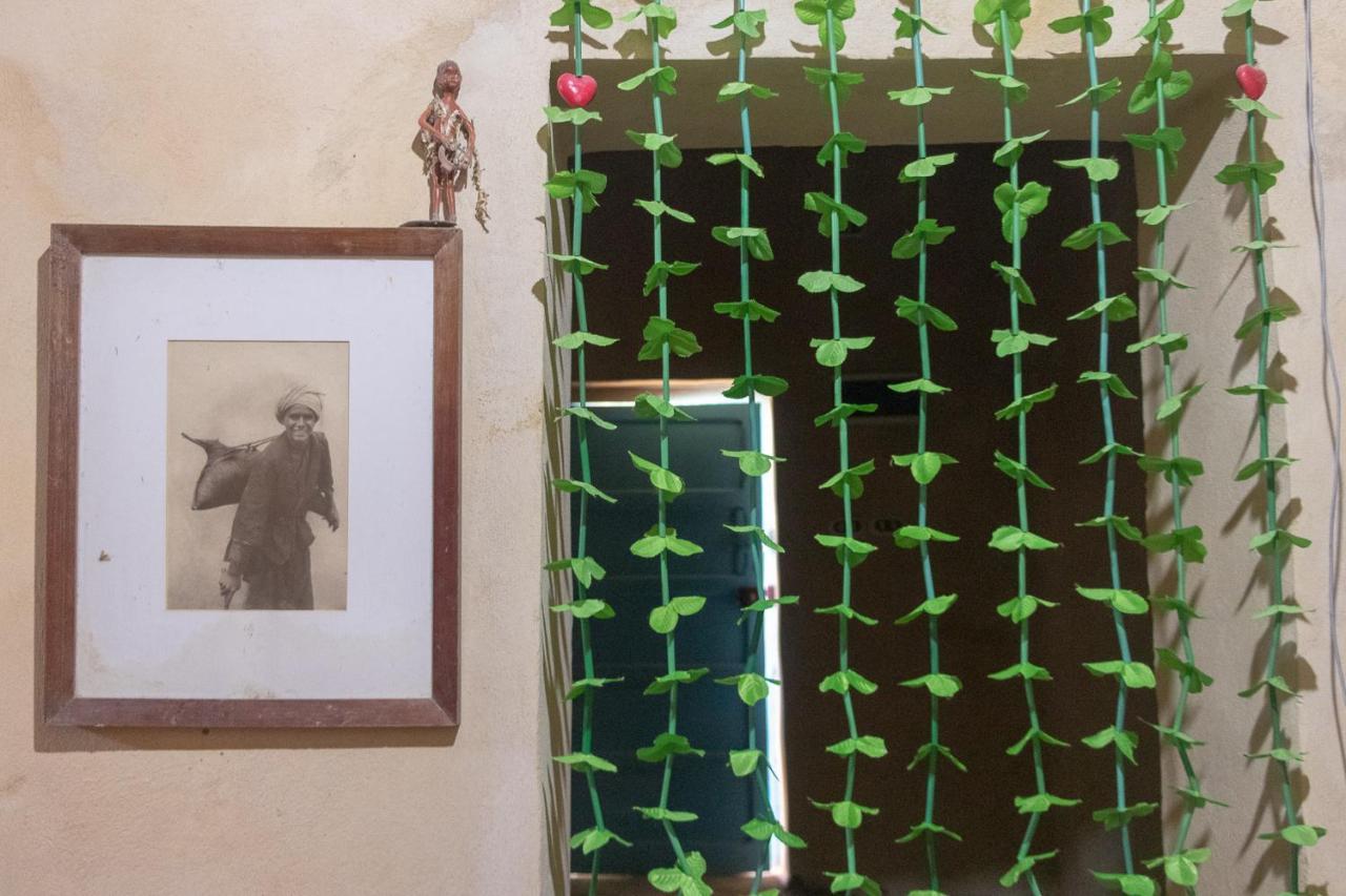 シワ・オアシス Olive Garden House Siwaホステル エクステリア 写真