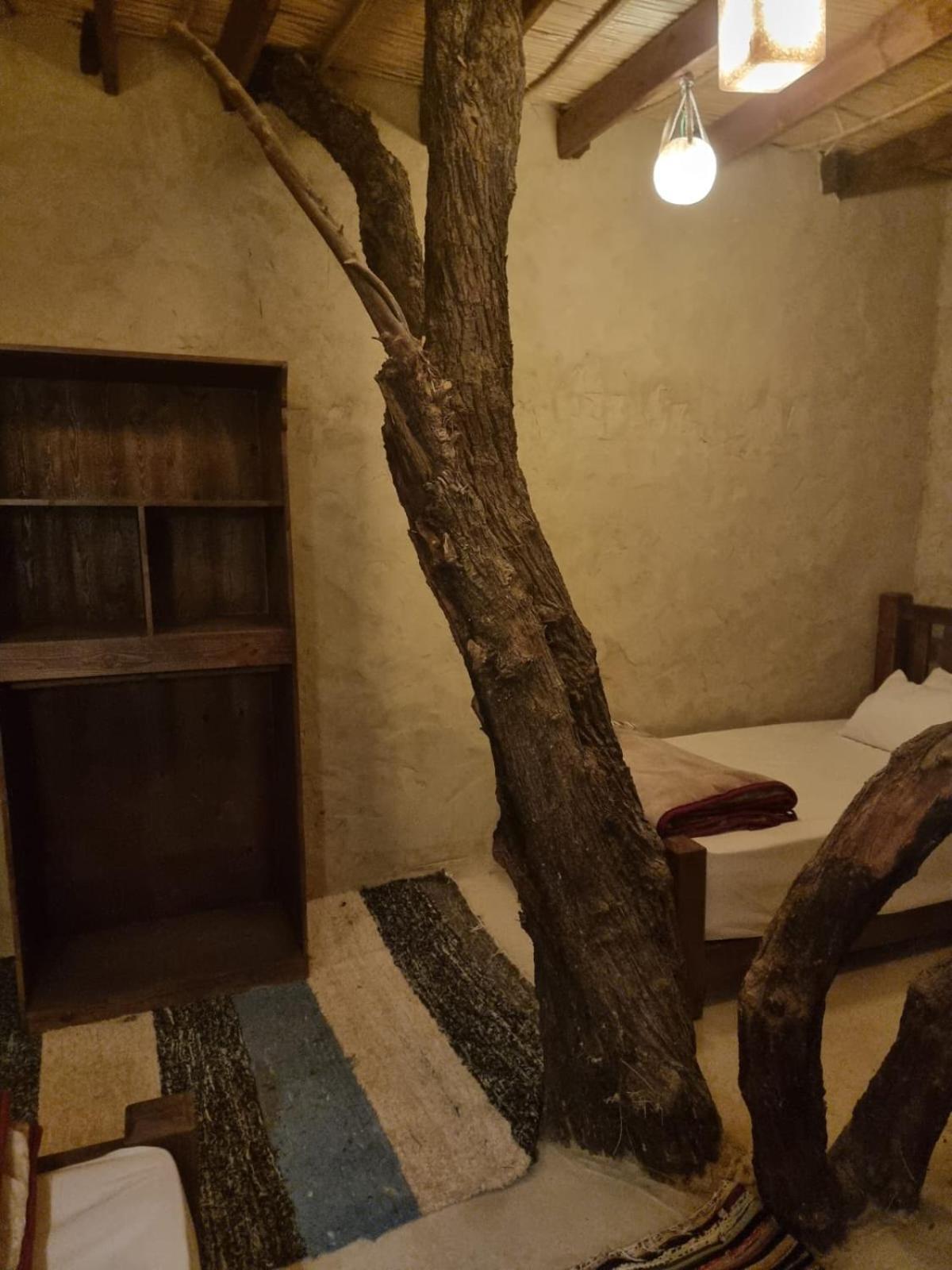 シワ・オアシス Olive Garden House Siwaホステル エクステリア 写真