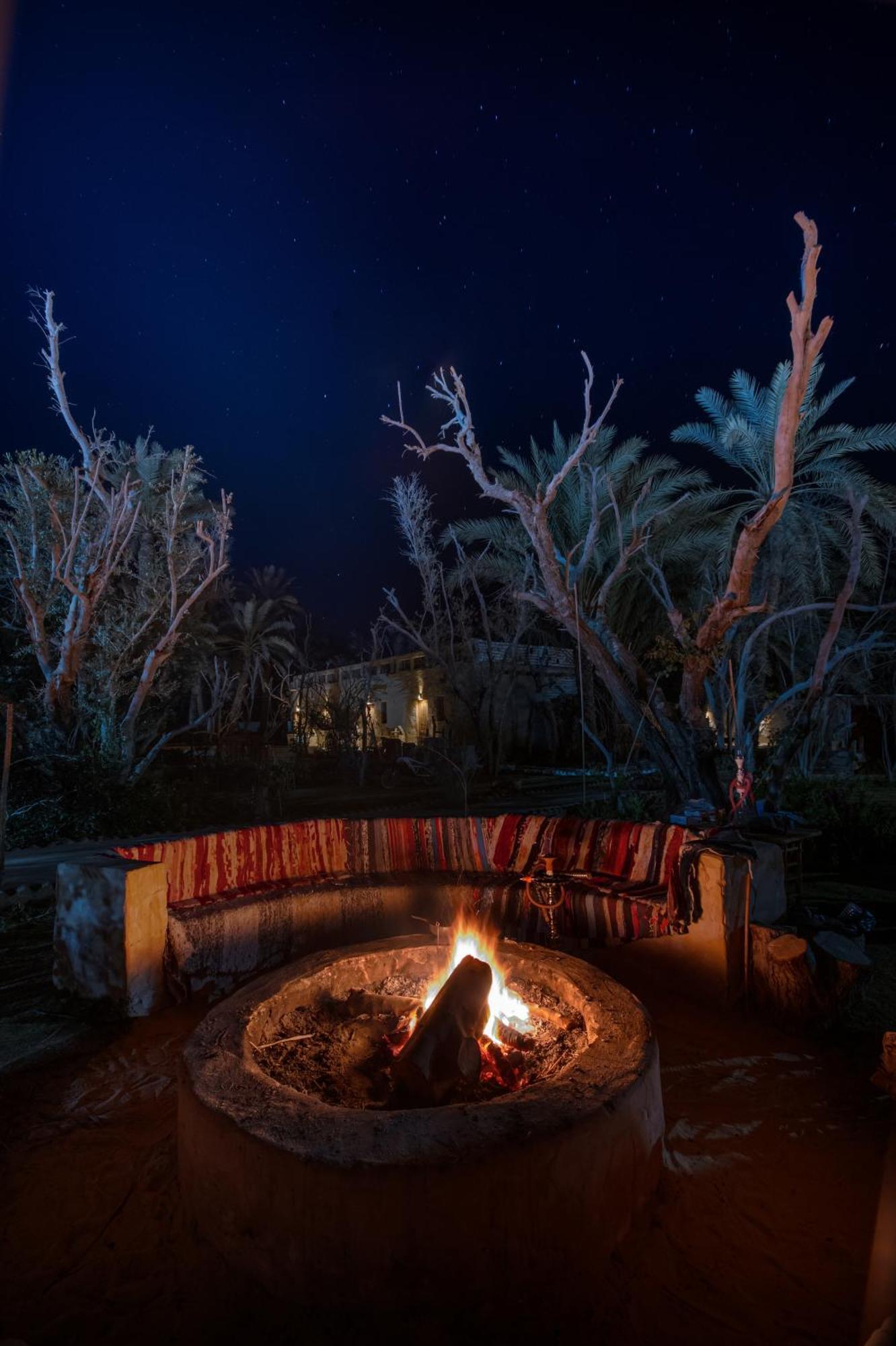 シワ・オアシス Olive Garden House Siwaホステル エクステリア 写真